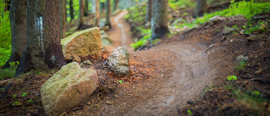 Singletrack Suchý vrch